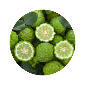 Bergamote bio