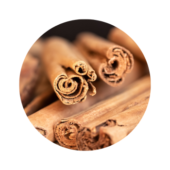 Cannelle de ceylan (écorce) bio