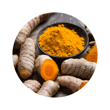 Curcuma