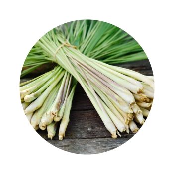 Lemongrass bio