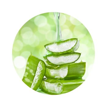 Huile d'aloe vera bio