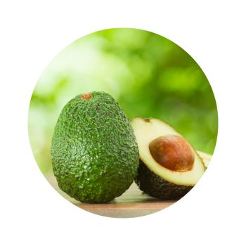 Huile d'avocat bio