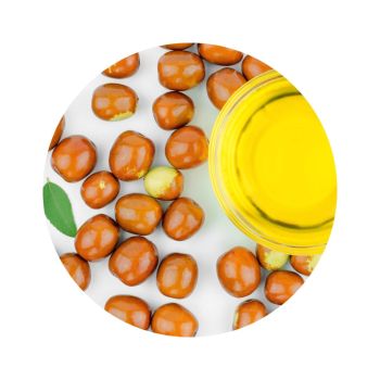 Huile de jojoba bio