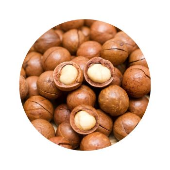 Huile de macadamia bio