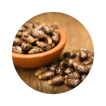 Huile de ricin bio